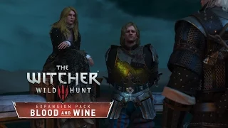 The Witcher 3: Blood and Wine [Knight's Tale] Tribute