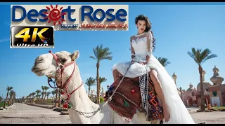 4K DESERT ROSE RESORT HURGADA 2023  HOTEL НЕПЛОХАЯ ПЯТЕРКА RED SEA EGYPT