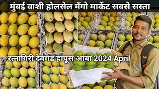 Vashi Apmc Mango Market | Vashi Mango Market In Mumbai | Vashi Mango Market 2024 | Vashi Apmc Market