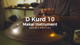 【レンタルハンドパン】Makai Instrument /  D Kurd 10 試奏1