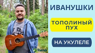 ИВАНУШКИ - ТОПОЛИНЫЙ ПУХ укулеле кавер