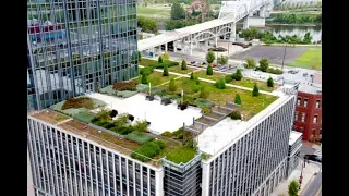 Presentation from Steven Peck, Green Roofs for Healthy Cities