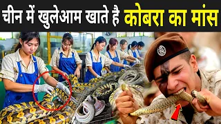 चीन में खुलेआम खाते है कोबरा का मांस | Cobra Snake Eating China | China Snake Farm