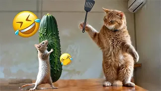 New Funny Animals 2024 😜 Funniest Dogs and Cats 🐈🐕
