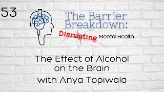 Episode 53: The Effect of Alcohol on the Brain