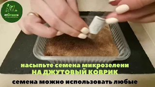 ЛОТОК для выращивания микрозелени