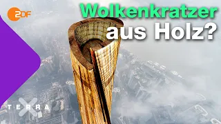 Mit Holz statt Beton klimafreundlicher bauen | Terra X plus