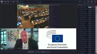 July 2020 - EESC Plenary Session - Arno Metzler intervening in a debate with Peter Altmaier