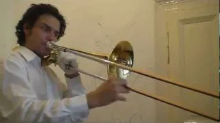 Flight of the Trombone bee.MPG