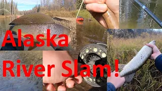 Interior Alaska Fishing. Multi-Species (Whitefish, Fly-fishing Grayling, Pike) Part 1/2