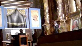 VI Festival de Órgão da Madeira - Élio Carneiro (grande órgão) & Sérgio Silva (órgão de coro)