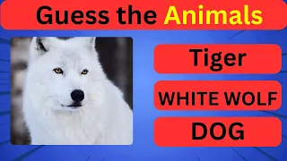 Ca You Guess The Animals in 5 Seconds | 60 Animals / Guess The Animal Quiz