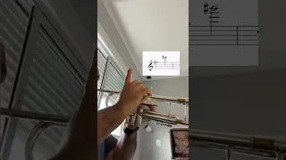 Practicing octave slotting after a studying day with silent brass mute