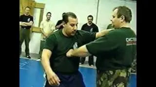 Russian Martial Art Beyond the Physical. Mikhail Ryabko боевые искусства