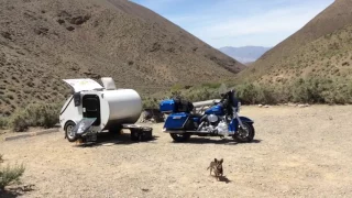 Patches & Yoska: Wildrose Campground, Death Valley