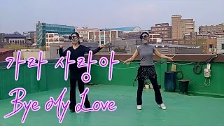 가라 사랑아 - Line Dance | Bye  My Love | 초급 [스텝바이손 라인댄스]