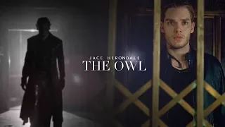 Jace Herondale ➰ The Owl