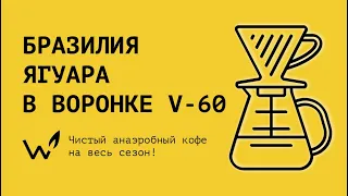 Как приготовить кофе в воронке V-60 (харио, пуровер)? Рецепт Бразилия Ягуара "The Welder Catherine".