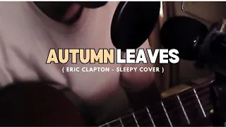 a very calm autumn leaves cover early in the morning ( Eric Clapton - Cover )