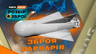 Ворожі КАБИ. В чому ГОЛОВНА НЕБЕЗПЕКА цієї надпотужної зброї? Та які вона має СЛАБКІ МІСЦЯ?