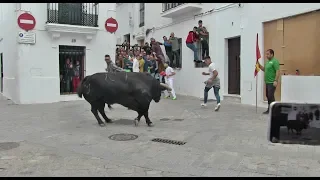 Vejer de la Ftra. (Cádiz) 2019 Toro Embolao HOACINA