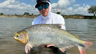 EL RIO LA MIEL MAS VIVO QUE NUNCA! PESCA DE DORADAS Y PICUDAS