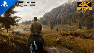 Red dead redemption 2 ps5 60fps 4k HDR patch update