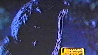 Адская месть 2: Кровавые крылья (Тыквоголовый 2) /  Pumpkinhead II: Blood Wings / Тизер / 1993