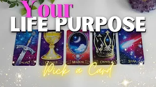 What Is Your Life Purpose? PICK A CARD 💖🦋 TIMELESS TAROT CARD READING