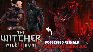 Unveiling the Netflix Witcher Armour | Possessed Reinald & Red Miasmal Revealed | The Witcher 3