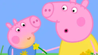 Cousin Chloe's Picnic 🧺 | Peppa Pig Official Full Episodes