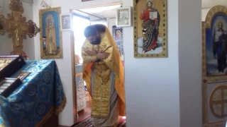 Престольный праздник иконы Казанской Божьей Матери. Херувимская и вынос Даров