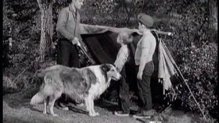 Lassie - Episode #181 - "Camp Out" - Season 5 Ep. 38 - 05/24/1959