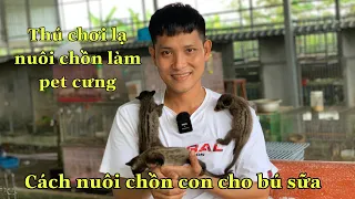 Thú Chơi Lạ Nuôi Chồn Con Cho Bú Sữa Làm Thú Cưng|Kỹ Thuật Xây Dựng Chuồng Nuôi Chồn Hương