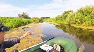 В ЭТОЙ РЕЧКЕ РЫБЫ МНОГО! Ловля щуки в траве на спиннинг. Поклёвки на глазах!