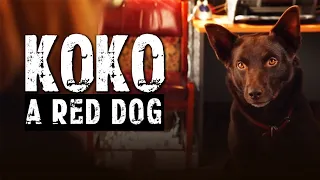 Koko: A Red Dog Story Official Trailer movie 2023