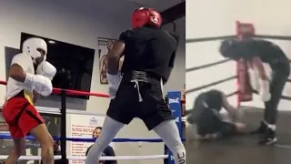 (LEAK) Shakur Stevenson KNOCKS OUT Keyshawn Davis in SPARRING — Gervonta Davis LEAKS Information