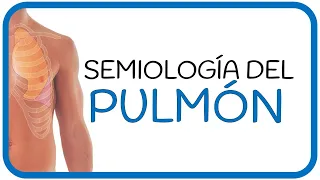 SEMIOLOGÍA PULMONAR - motivos de consulta, examen físico, ruidos auscultatorios y patologías