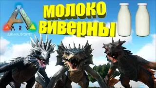 Как добывать молоко дикой виверны в ARK Survival Evolved - соло