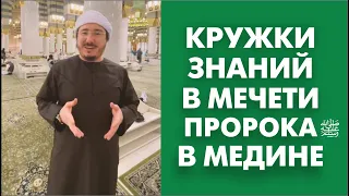 Кружки знаний в мечети Пророка ﷺ в Медине