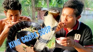 Is It Safe To Eat King Cobra Soup ?