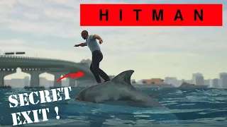 Hitman - Miami Secret Dolphin Exit!