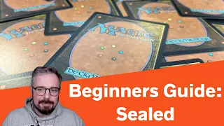 Beginner's Guide: Sealed