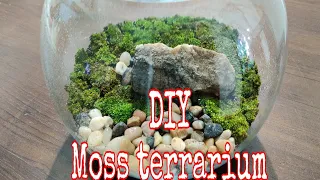 How to make a moss terrarium | DIY moss terrarium