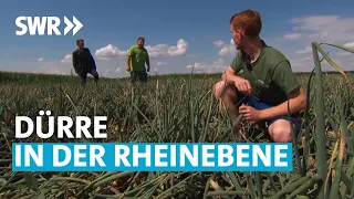 Vor Ort, wo Wasser fehlt | Zur Sache! Baden-Württemberg