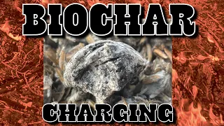 Biochar charging w/ KNF & JADAM Natural Farming (the slow way)