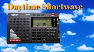 Daytime Shortwave on the Tecsun PL-330