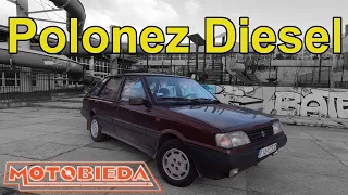 Polonez Caro 1.9 Diesel to porażka - MotoBieda