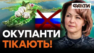 Гуменюк: Сезон БАВОВНИ В КРИМУ тільки ПОЧИНАЄТЬСЯ...