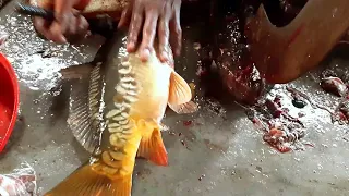 Mirror Carp Fish Cutting Skills | Big Fish Skinning & Chopping By Expert Fish Cutter In Fish Market.